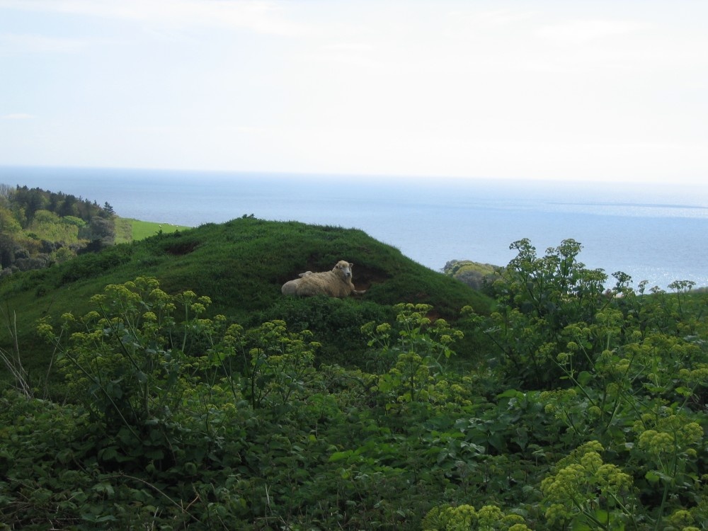Photograph of Abbotsbury, Dorset, England
