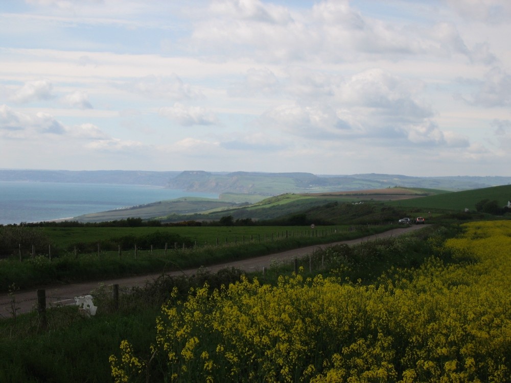 Looking towards West Bay, Dorset