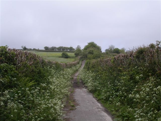 Country lane in Somerset