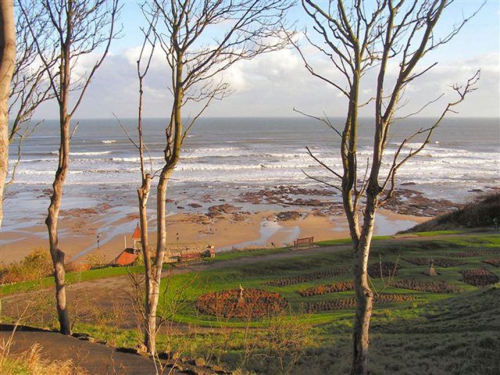 Above South Bay, Scarborough. Photo by Carl Tappin
