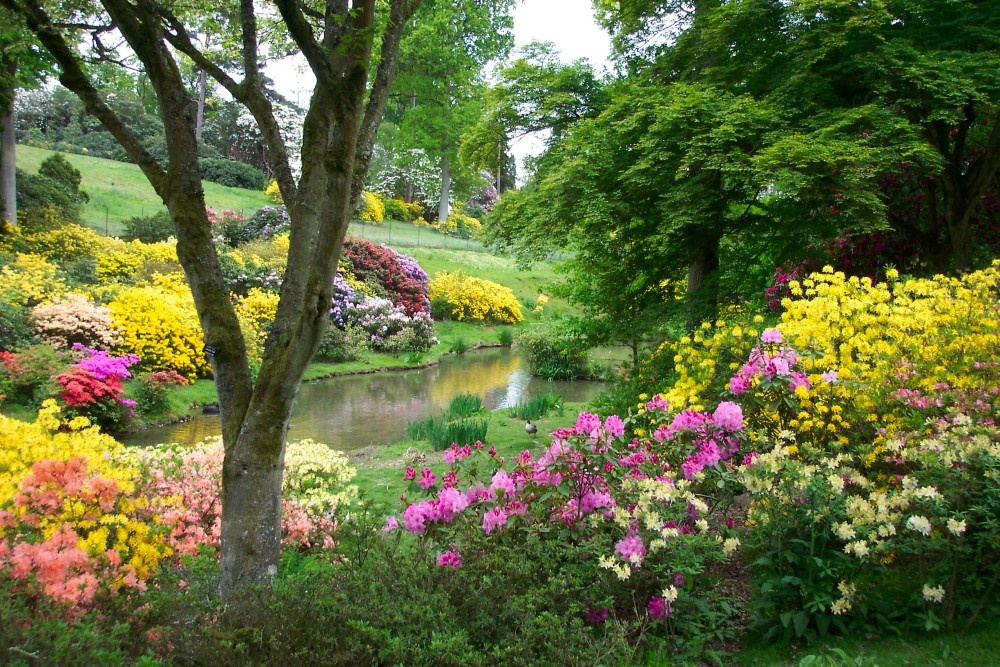 Leonardslee Gardens, Horsham, West Sussex