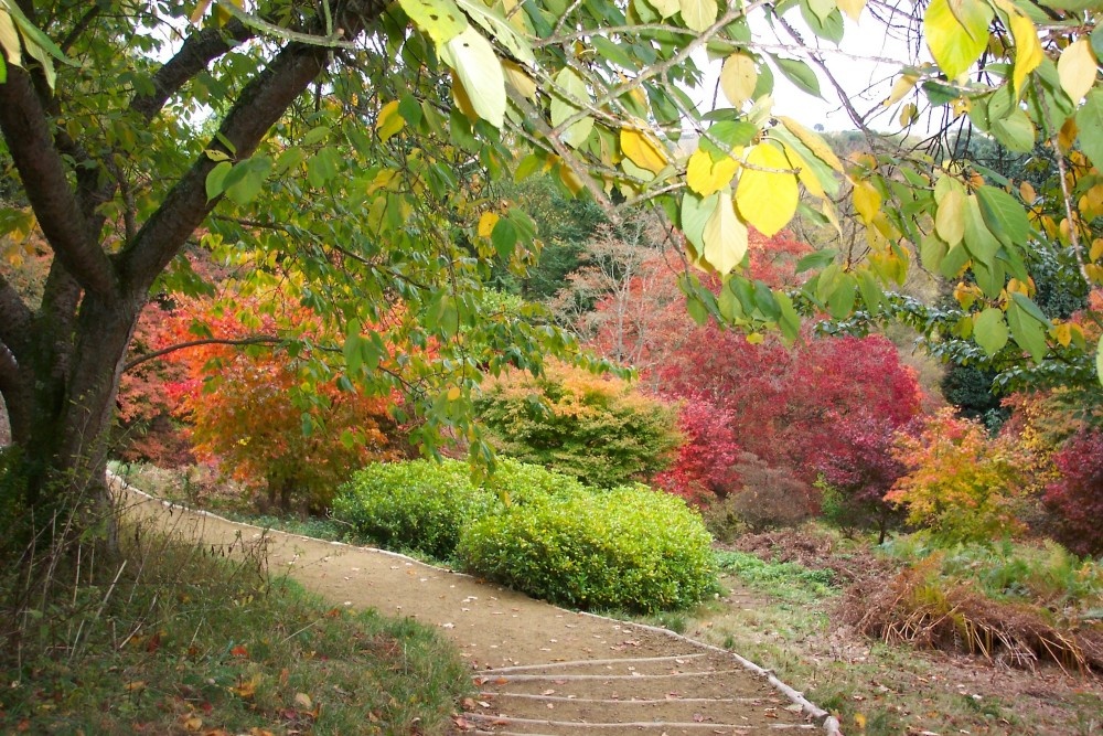 Winkworth Arboretum, near Godalming, Surrey photo by Mac Mcfarlane
