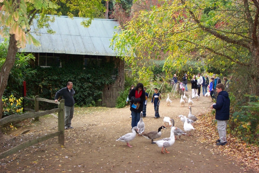 Winkworth Arboretum, near Godalming, Surrey photo by Mac Mcfarlane