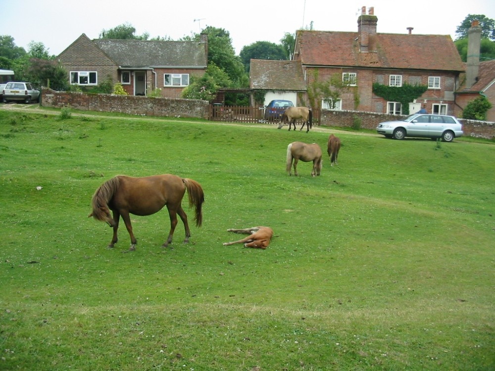 Woodgreen, Hampshire