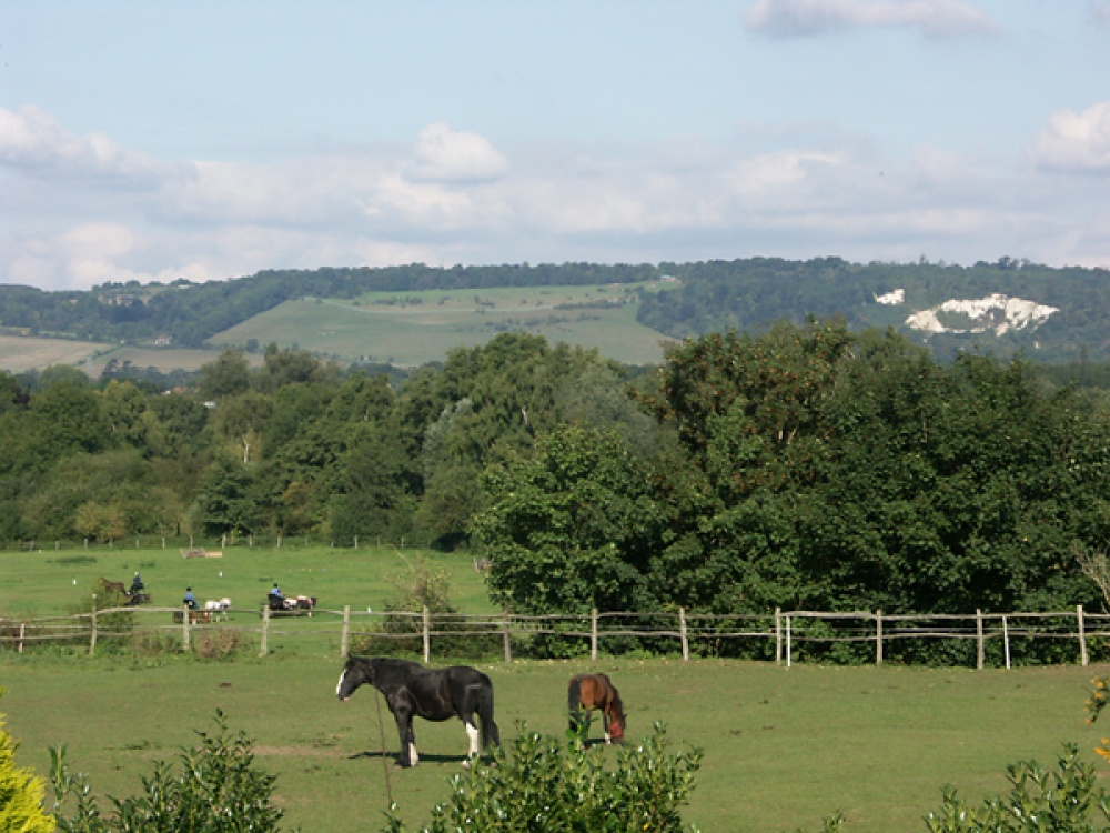 A picture of Sevenoaks