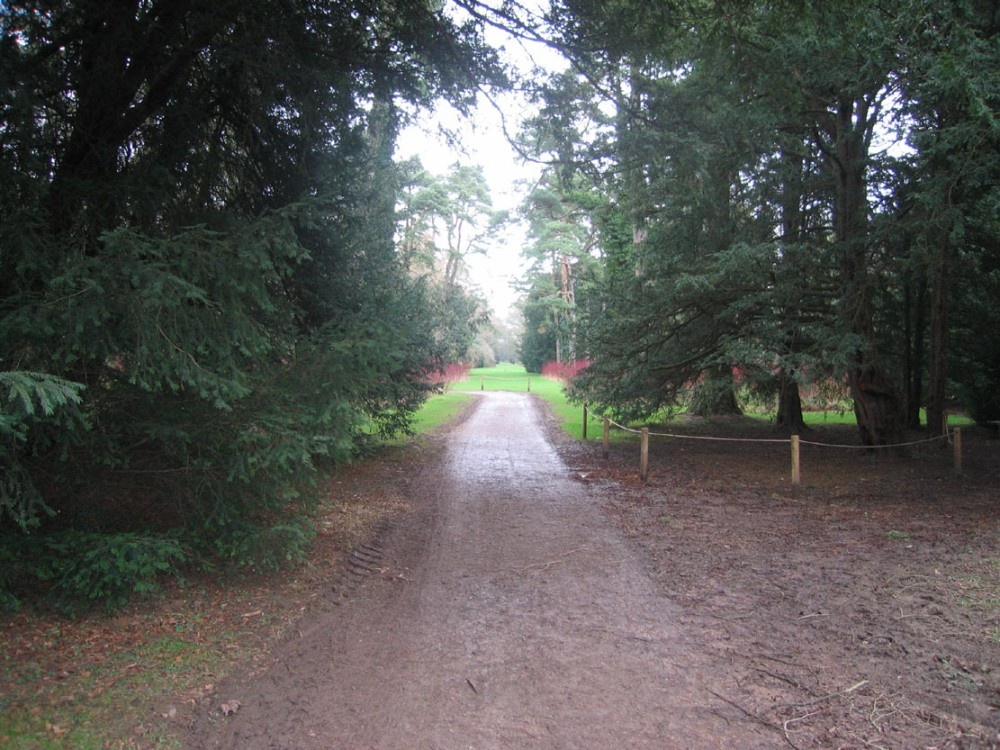 Westonbirt Arboretum. Winter Jan 2005