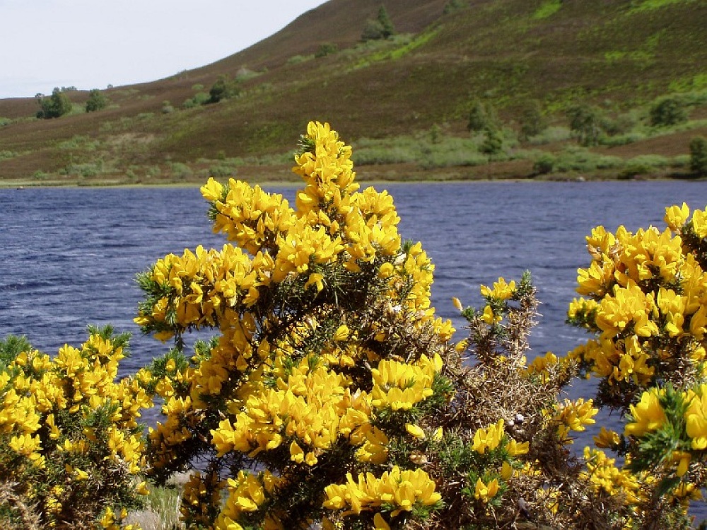 Photograph of Loch Ceo Glais on old military road from Fort Augustus to Inverness