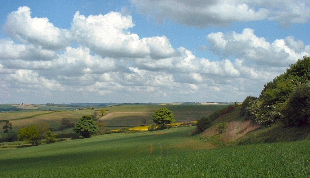 Photograph of Lincolnshire Wolds, Nr Fulletby.