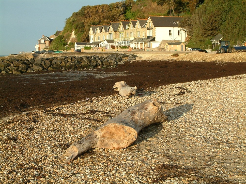 Picture of the beach at Bonchurch just east of Ventnor Isle of Wight. Clear sunny weather.