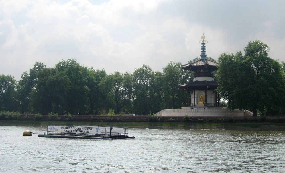 The Pagoda in Battersea Park, Across the Thames from Chelsea