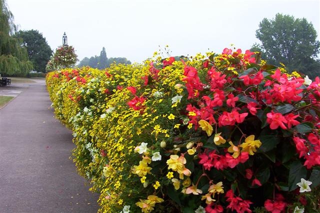 A pleasant walk along river bank, Worcester