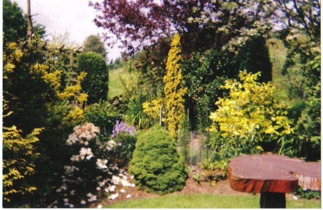 Another pic of Dad's garden at - Strawberry Cottage, Newnham Bridge, nr Tenbury