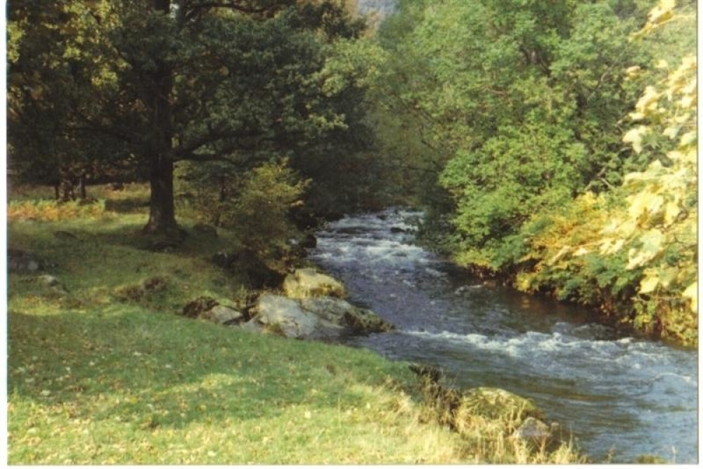 A stream near Rydal, Lake district