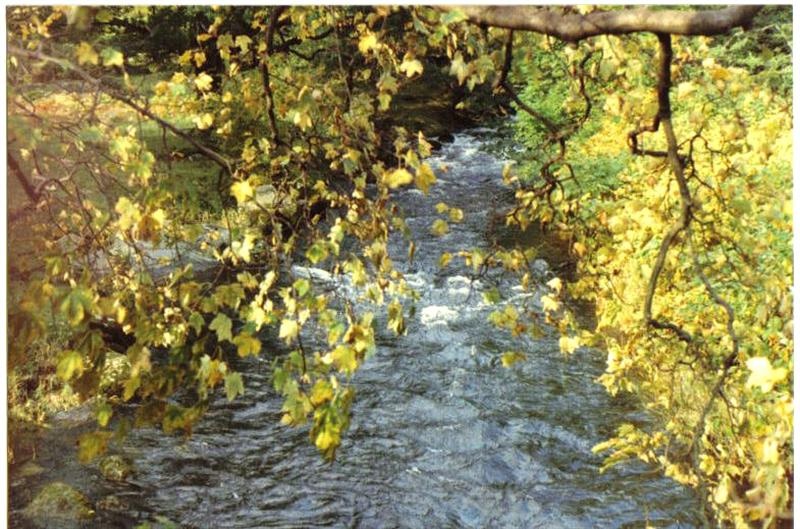 close up of the same stream near Rydal, Lake district