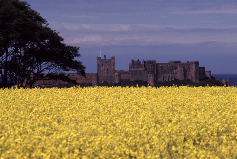 A picture of Bamburgh Castle