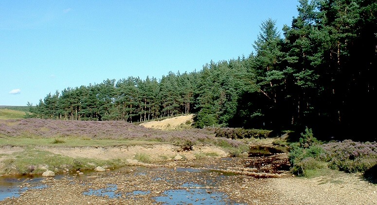 Rutmoor Beck, Wheeldale, North York Moors