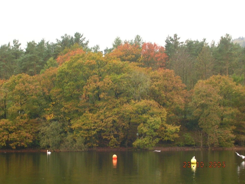 Lake Windermere, taken along the foot path