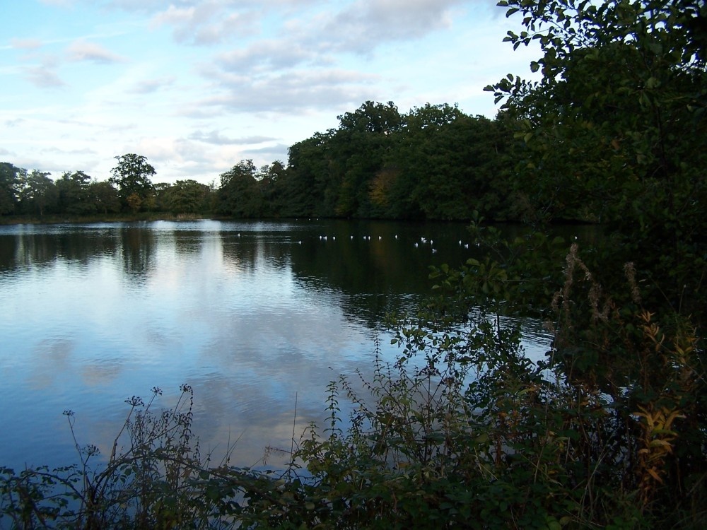 This photograph is of Whiteknights Lake, on the University of Reading campus.