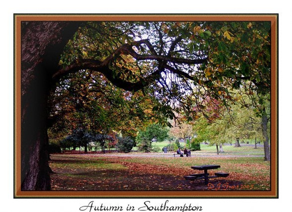 Autumn comes to Southampton