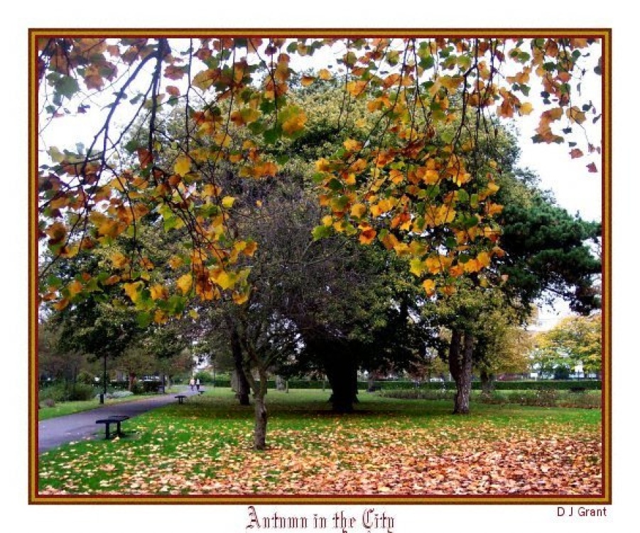 Autumn in the city; St Andrews Park looking North. Southampton