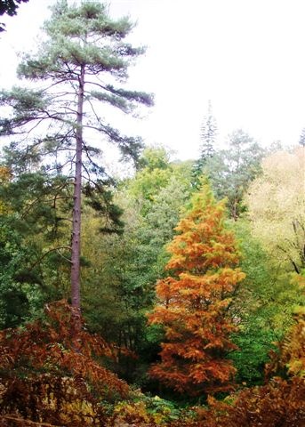 Wakehurst Place, West Sussex