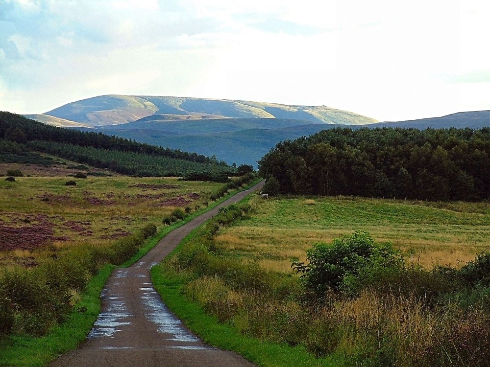 View Of Cheviot, the Cheviot Hills, Northumberland.