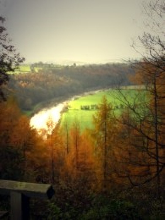 Capler viewpoint overlooking the Wye Valley