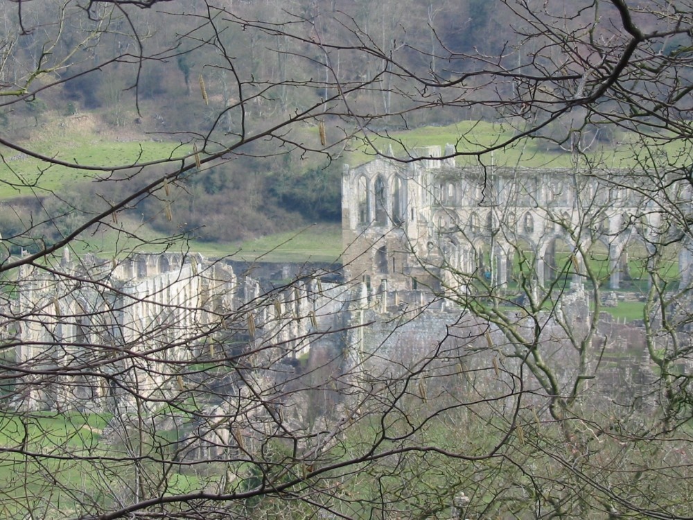Rievaulx Abbey from Ashberry wood, North York Moors.