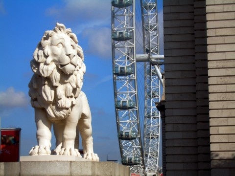 Lion of Trafalgar square with Millenium Wheel in background, London