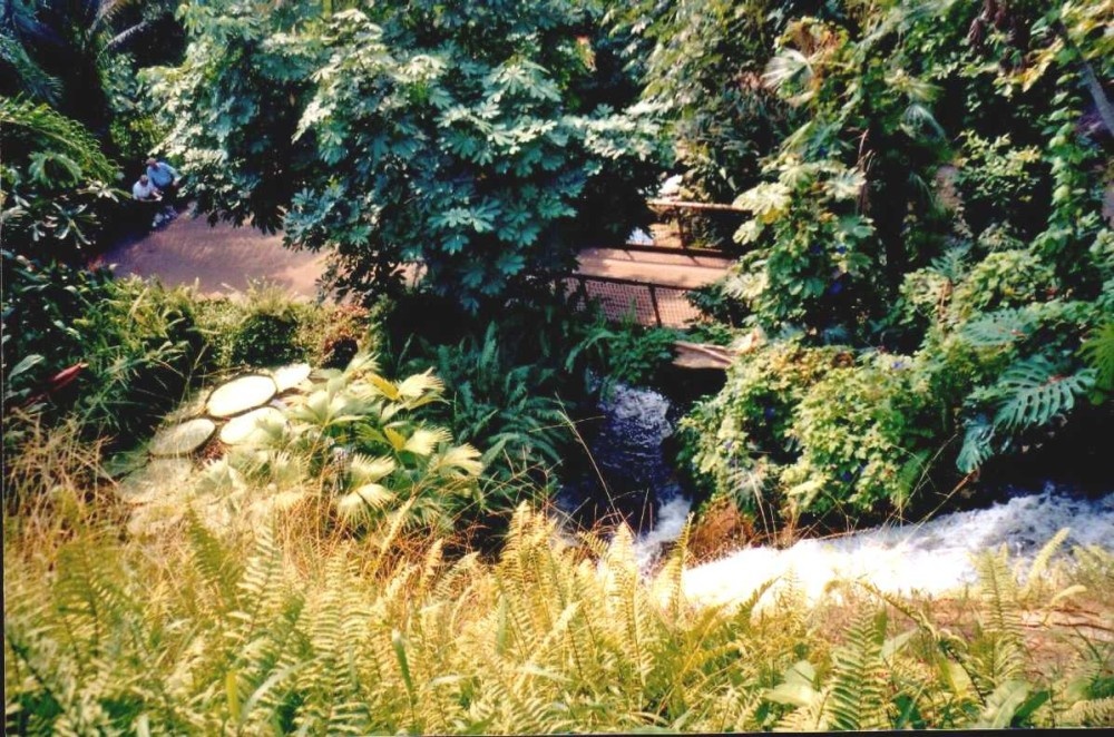 A picture of The Eden Project