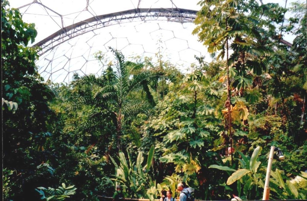 A picture of The Eden Project