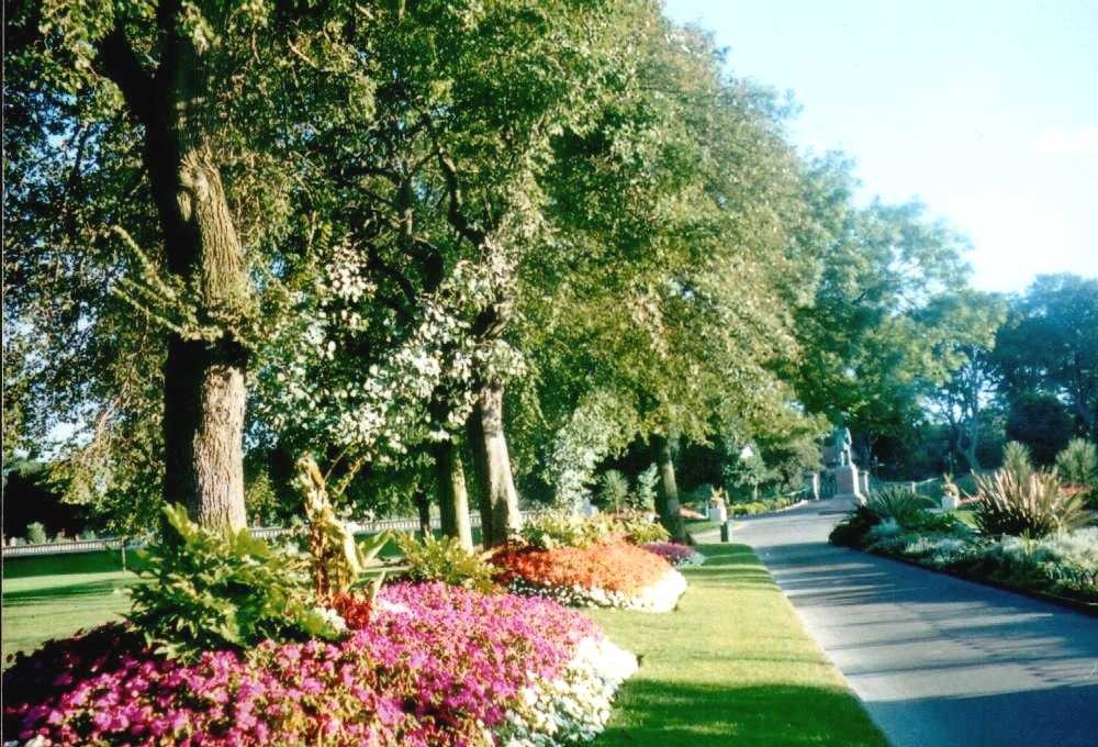 "Mowbray Park, Sunderland" by Anna Chaleva at