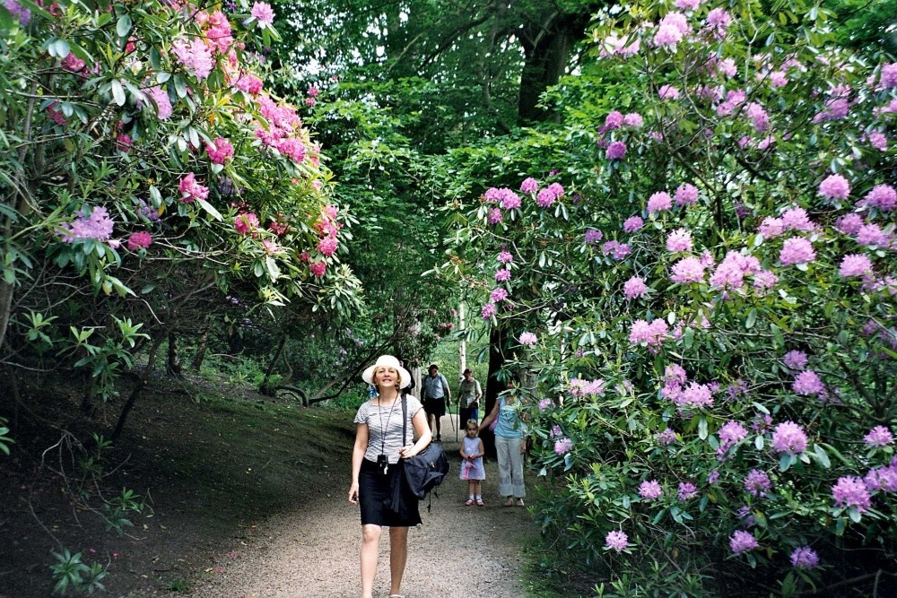 Harewood House in West Yorkshire - Himalayan Gardens, June 2005 photo by Anna Chaleva