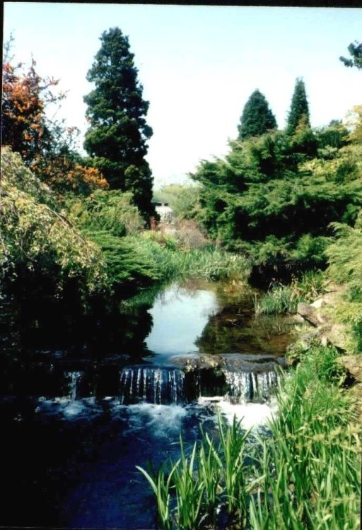 Newstead Abbey, Japan Garden