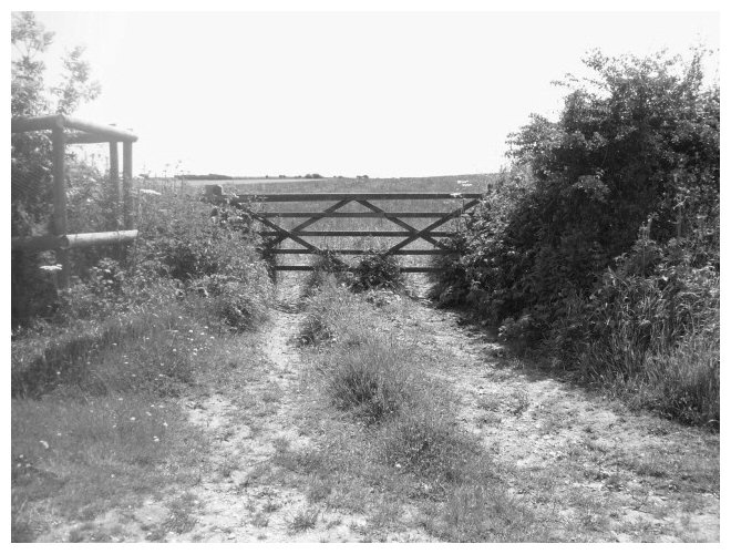 Gate to a field by the coastal path, Studland, Dorset.