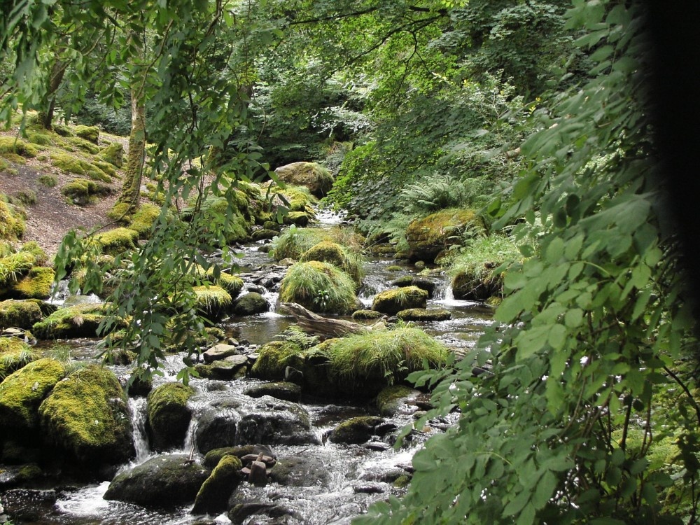 A VIEW BELOW  DOLGOGH FALLS