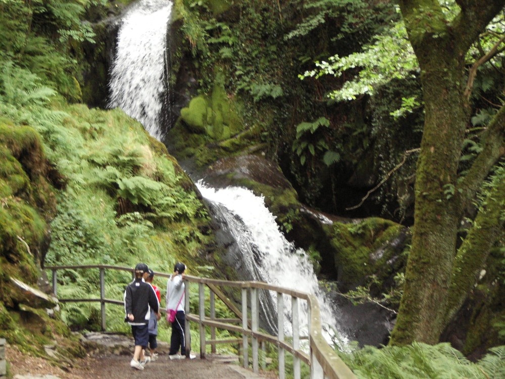 TRAVEL BY TRAIN AND STOP TO SEE -    DOLGOGH FALLS NEAR TYWYN GWYNEDD