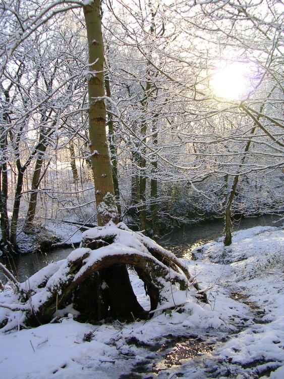 Bradshaw Brook, Bromley Cross, Bolton