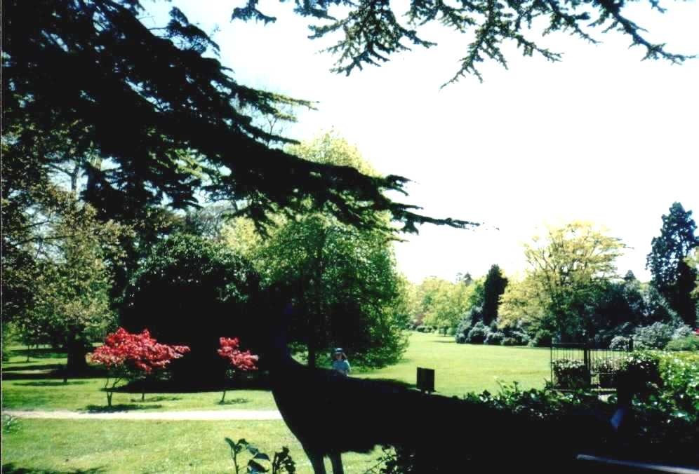 Warwick Castle - Peacock Garden