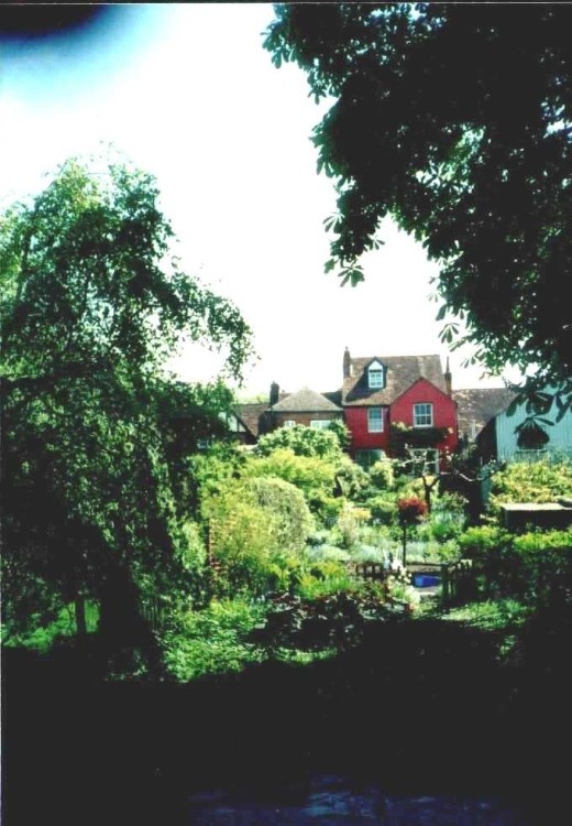 Wears Walk in Winchester