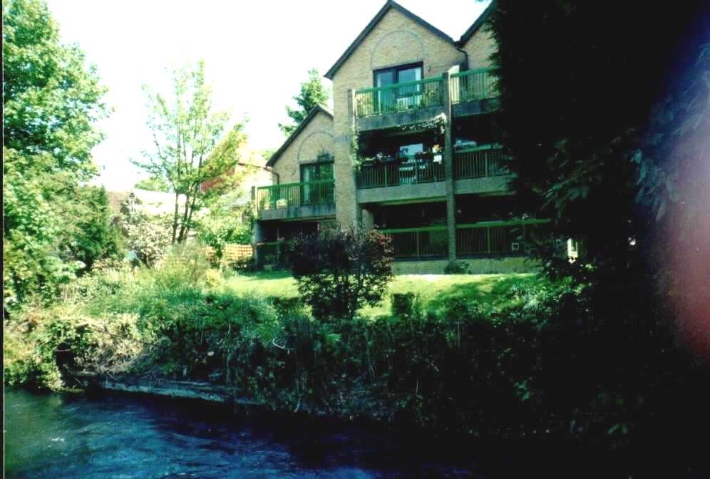 Wears Walk in Winchester