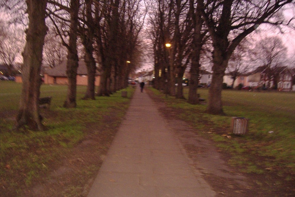 "Fairfield Park, Kingston upon Thames" by Deidre Drewes at