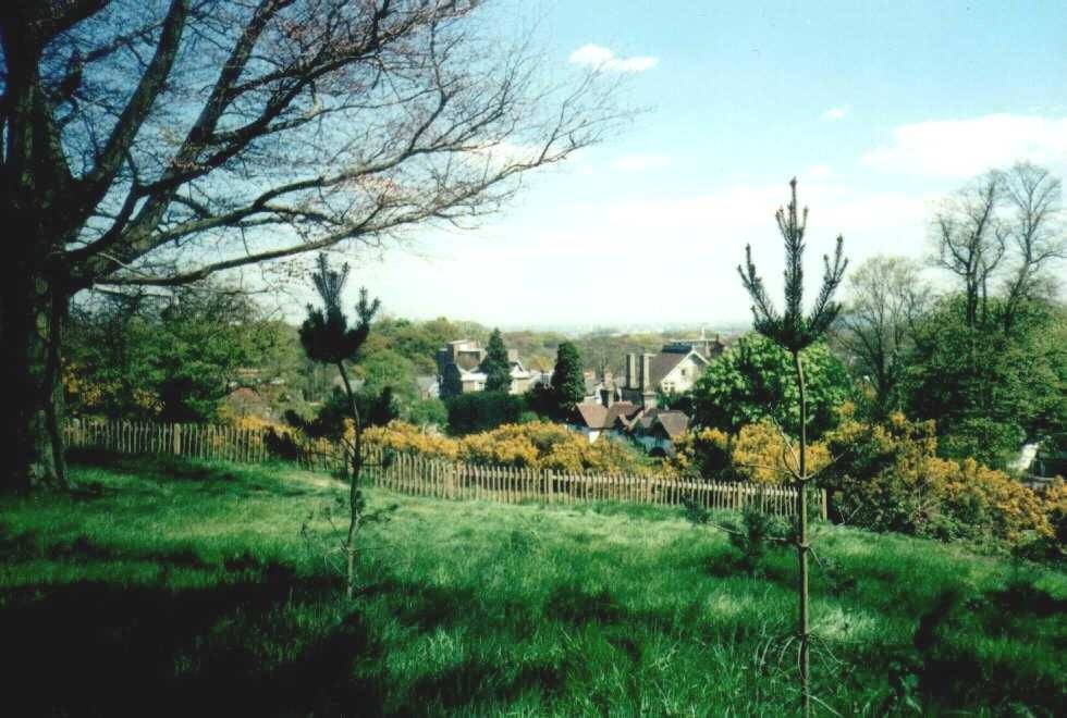 London - a picture of Hampstead Heath photo by Anna Chaleva