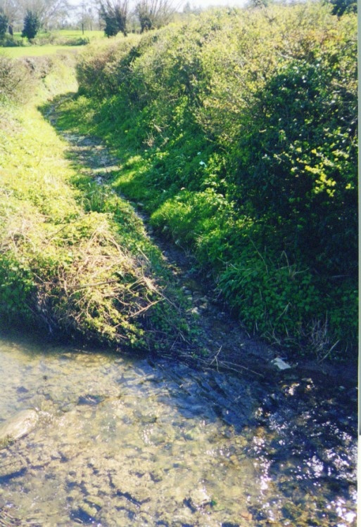 Serpents Lane (watery lane) Mordiford, Herefordshire.