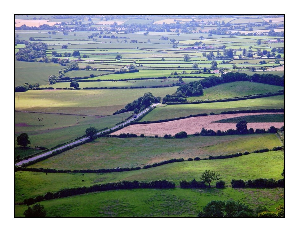 Photograph of View from Sutton Bank, near Sutton-under-Whitestonecliffe, North Yorkshire