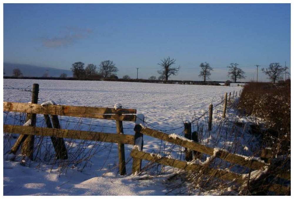 Photograph of Groby Road, Anstey, Leicester