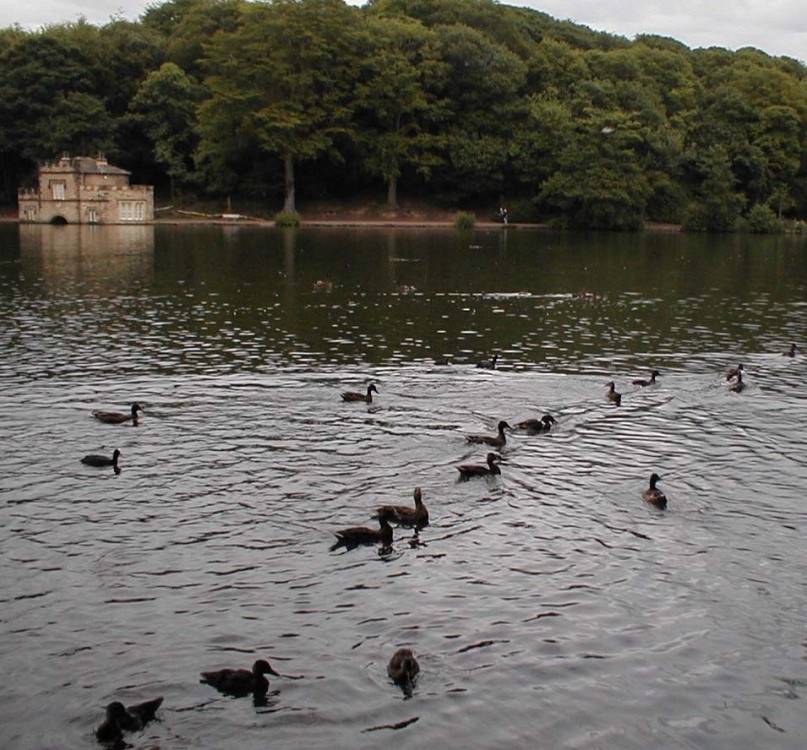 The old Boat house on Newmillerdam, West Yorkshire