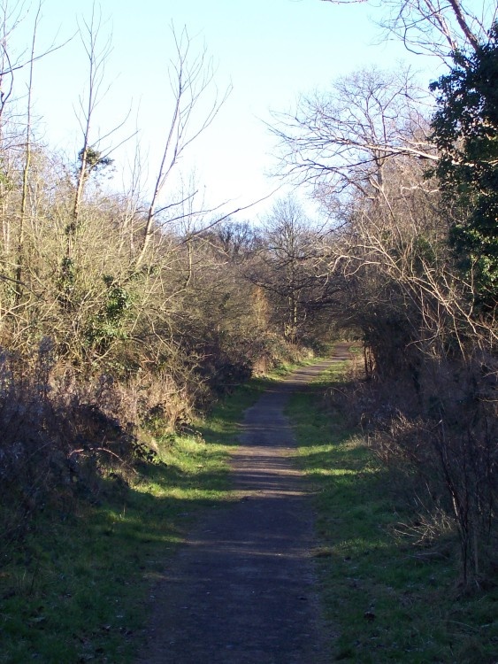 Horsenden Hill, Sudbury, Middlesex
