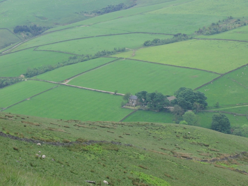 A picture of Hayfield