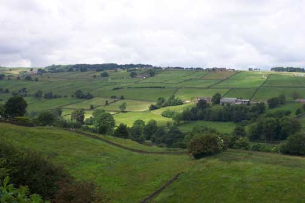 Bronte Moors, Haworth, England